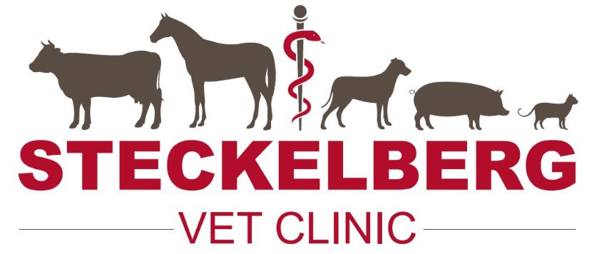 Steckelberg Vet Clinic