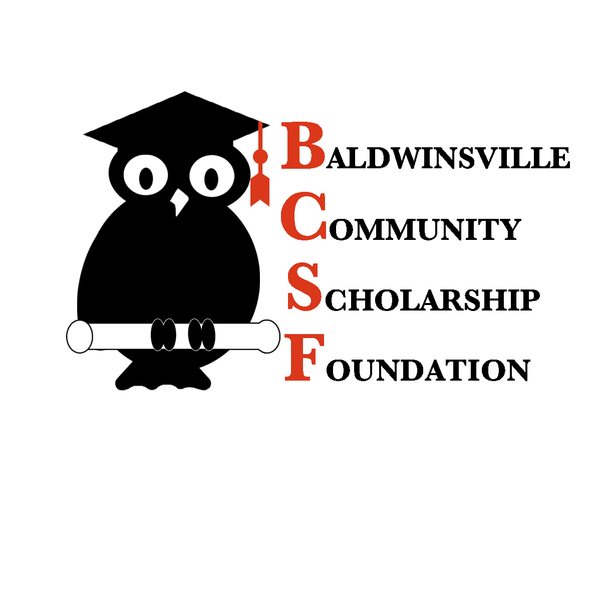 2025 Baldwinsville Community Scholarship Foundation Golf Tournament logo